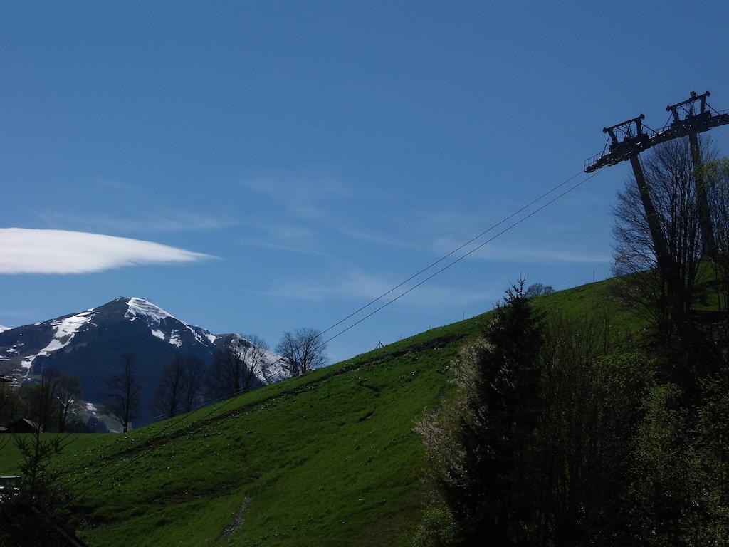 Haus Bergheim Apartamento Saalbach-Hinterglemm Exterior foto