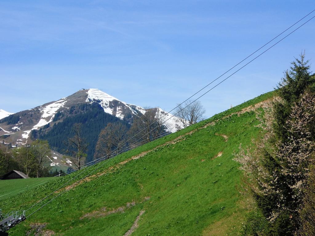 Haus Bergheim Apartamento Saalbach-Hinterglemm Exterior foto